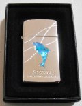 ☆イルカ！スリム 天然貝 ＤＯＬＰＨＩＮ ２００１年 SLIM ＺＩＰＰＯ！新品A