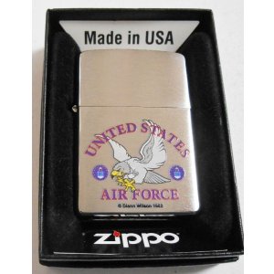 画像: ☆米軍 AIR FORCE！空軍 イーグル・デザイン！２００９年 USA ＺＩＰＰＯ！新品