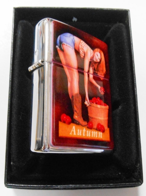 画像: ☆PINUP GIRLS！秋 オータム・バージョン１９９６年６月製 世界限定 Zippo！未使用品